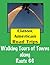 Classic American Road Trips: Walking Tours of Towns along Route 66 (Look Up, America! Series)