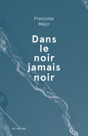Dans le noir jamais noir (Paperback)