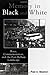 Memory in Black and White by Paul A. Shackel
