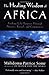 The Healing Wisdom of Africa by Malidoma Patrice Somé