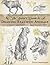 The Artist's Guide to Drawing Realistic Animals
