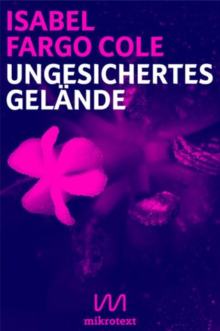 Ungesichertes Gelände: Liebesnovelle