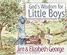 God's Wisdom for Little Boys by Jim George