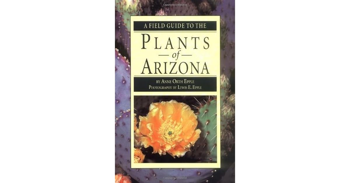 A Field Guide to the Plants of Arizona by Anne Orth Epple