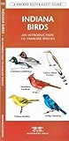 Indiana Birds (Nature Observation North America)
