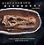 Discovering Dinosaurs: Evol...