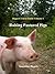Raising Pastured Pigs: A Guide to Rearing, Butchering, and Preserving Pastured Pork (Biggers' Guides to Homesteading Book 1)