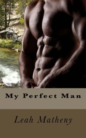 My Perfect Man (My Series Book 2)