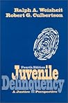 Juvenile Delinquency: A Justice Perspective Juvenile Delinquency: A Justice Perspective