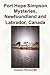 Port Hope Simpson Mysteries Vol. 2, Newfoundland and Labrador, Canada: Oral History Evidence and Interpretation (Port Hope Simpson Mysteries Labrador Newfoundland Canada)