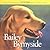 Bailey Bymyside by Patricia Burlin Kennedy