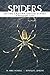Spiders of the Eastern United States by W. Mike Howell