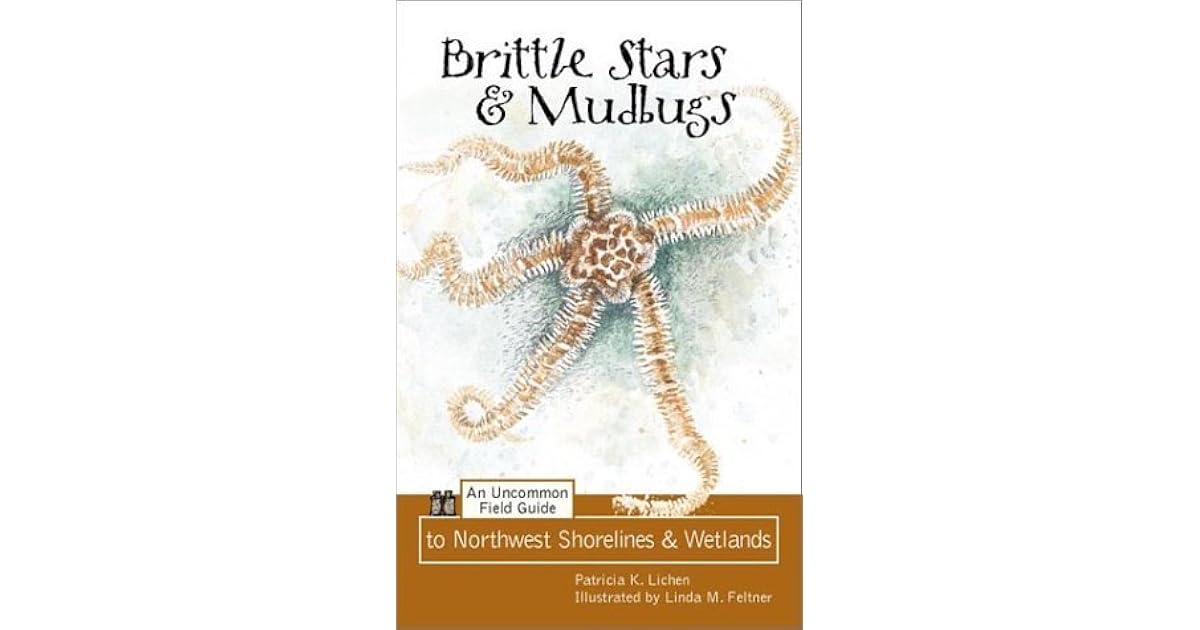 Brittle Stars And Mudbugs An Uncommon Field Guide To