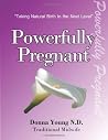 Powerfully Pregnant: "Taking Natural Birth to the Next Level" Powerfully Pregnant: "Taking Natural Birth to the Next Level"