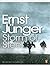 Storm of Steel by Ernst Jünger