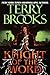 A Knight of the Word (Word & Void, #2)