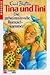 Die geheimnisvolle Rumpelkammer (Tina und Tini, #5)