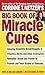Corrine T. Netzer's Big Book of Miracle Cures