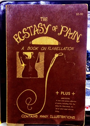 The Ecstasy of Pain: A Book On Flagellation (Paperback)