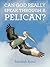 Can God Really Speak Through a Pelican?