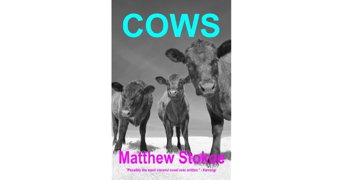 COWS by Matthew Stokoe