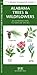 Alabama Trees & Wildflowers (Nature Observation North America)