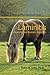 Laminitis: A Scientific and Realistic Approach (Spotlight on Equine Nutrition Teleseminar Series Book 4)
