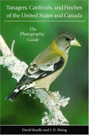 Tanagers, Cardinals, and Finches of the United States and Canada: The Photographic Guide (Paperback)