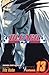 Bleach, Vol. 13: The Undead