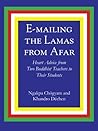 Book cover for E-Mailing the Lamas from Afar