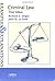 Criminal Law: Examples & Ex...