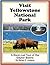 Visit Yellowstone National Park A Bison-Led Tour of the Geyser Basins Ages 10 and up (Nature and Wildlife Tours of Yellowstone National Park For Middle Grades Age 9 - 12 Book 1)