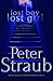 lost boy lost girl: A Novel