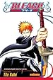 Image for Bleach, Vol. 1