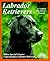 Labrador Retrievers: Everyt...