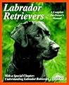 Labrador Retrieve...