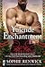 Yuletide Enchantment (Annwyn Chronicles, #0.5)