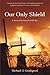 Our Only Shield: A Novel of the Second World War