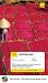 Teach Yourself Vietnamese (Teach Yourself . . . Complete Courses) (Vietnamese and English Edition)