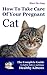 How To Take Care Of Your Pregnant Cat: The Complete Guide To Safely Deliver And Raise Healthy Kittens