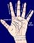 Palmistry and Beginners Guide to Palm Reading
