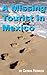 A Missing Tourist in Mexico