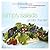 Simply Salads: More than 100 Delicious Creative Recipes Made from Prepackaged Greens and a Few Easy-to-Find Ingredients