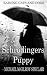 Schrödingers Puppy - Rainin...
