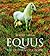 Equus: The Creation of a Horse