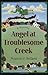 Angel at Troublesome Creek ...