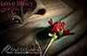 Love Story Love Story