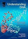 Understanding DNA: The Molecule and How It Works Understanding DNA: The Molecule and How It Works