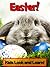 Easter! Learn About Easter and Enjoy Colorful Pictures - Look and Learn! (50+ Photos of Easter)