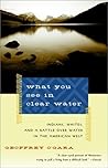 What You See in Clear Water: Indians, Whites, and a Battle Over Water in the American West